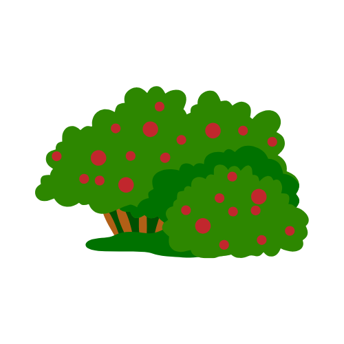 Wild Edible Berries Guide
